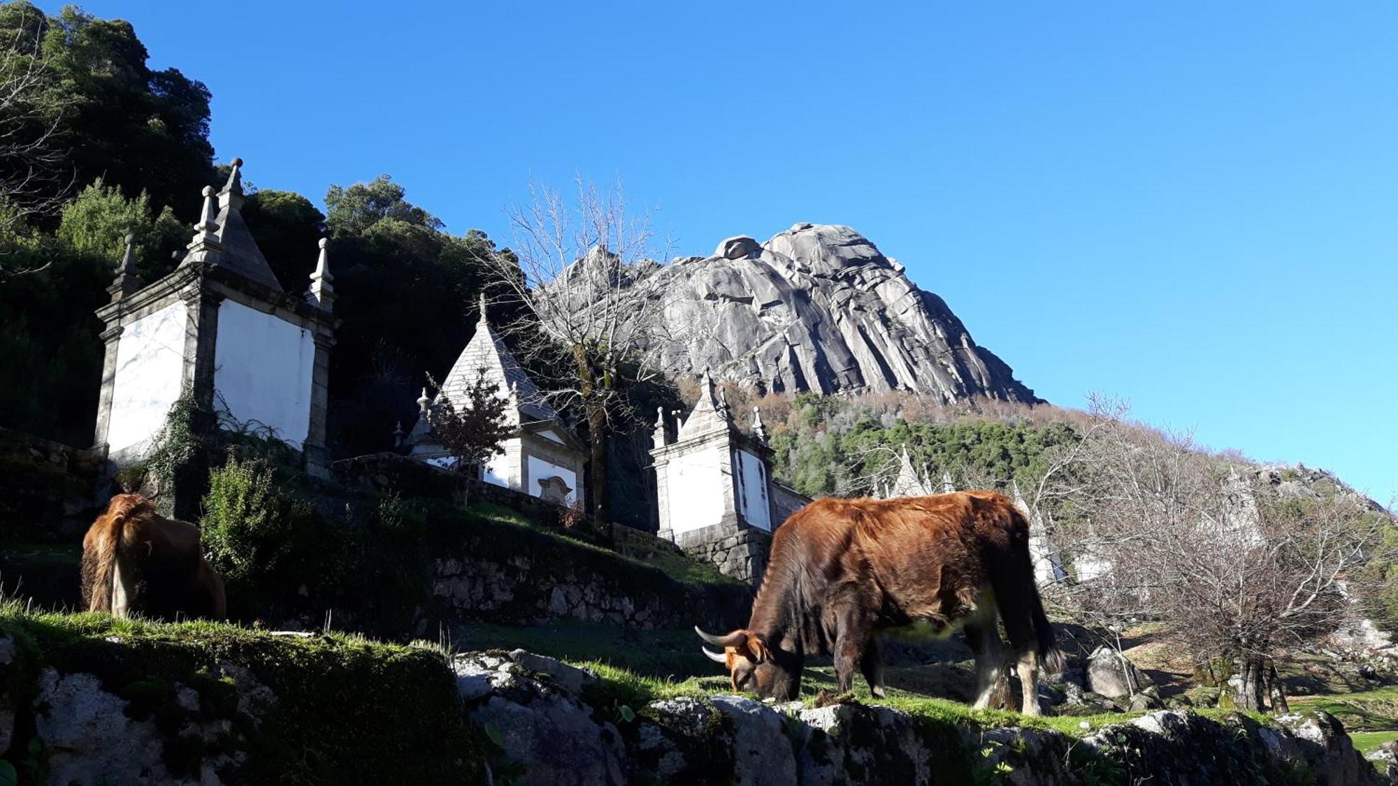 Penedino Mountain Cottage Arcos de Valdevez Esterno foto
