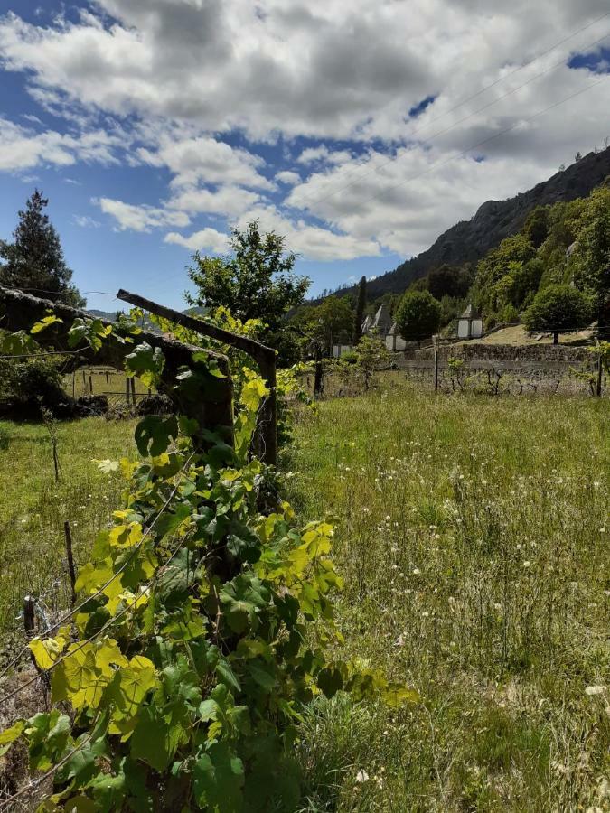Penedino Mountain Cottage Arcos de Valdevez Esterno foto